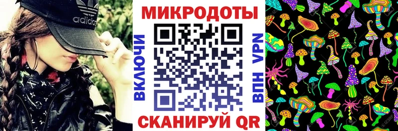 хочу   Павлово  Псилоцибиновые грибы Psilocybine cubensis 