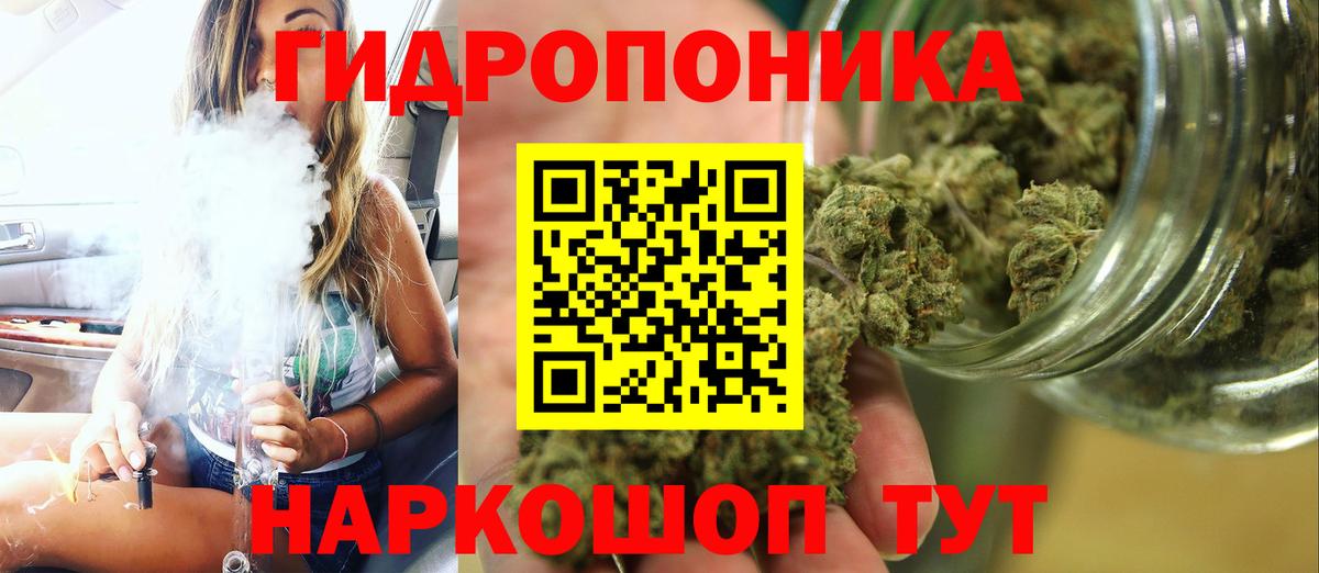 Бошки марихуана конопля Павлово